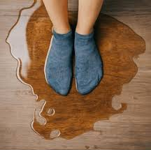 Wet Socks